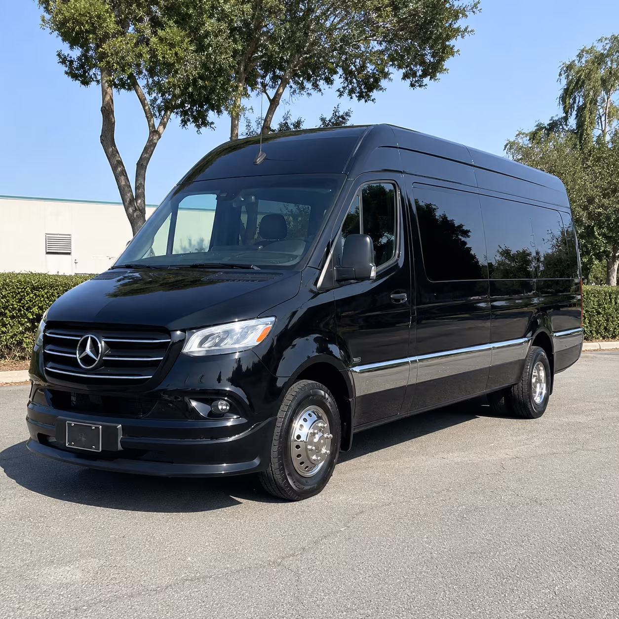 euless sprinter limousine